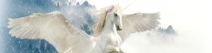 Is the Perfect Commercial Tenant a Unicorn